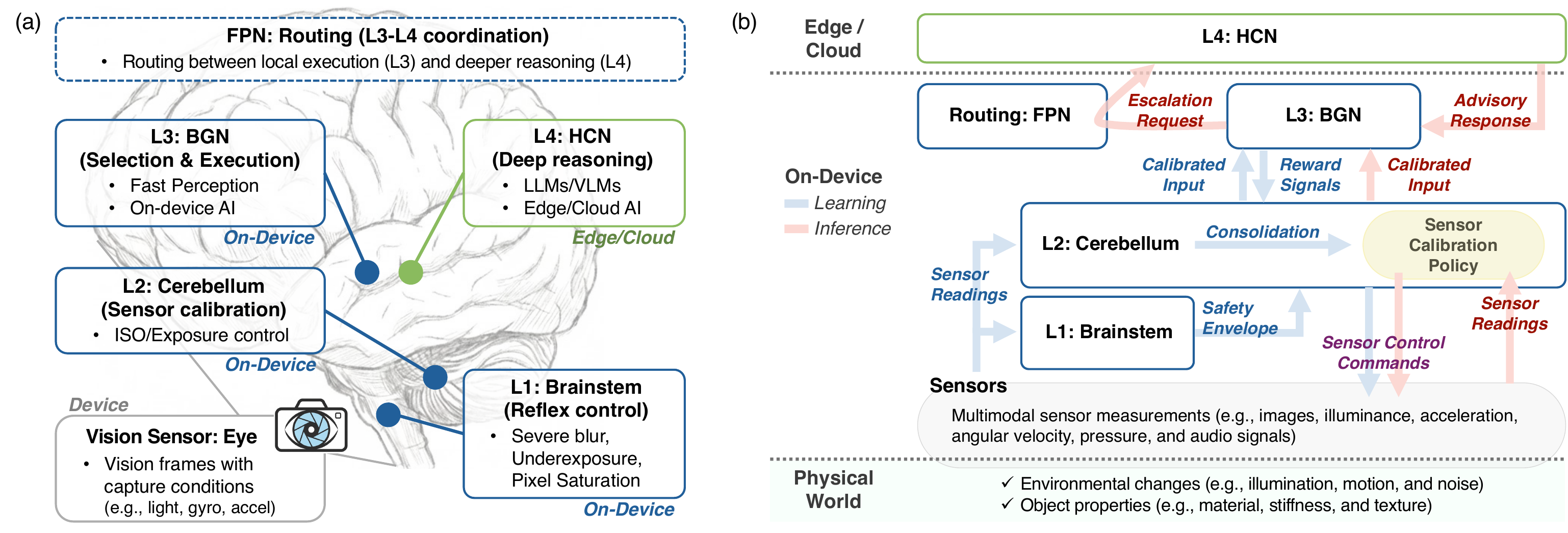 ATI architecture. (a) ATI role mapping for a camera-based system: a four-level L1 to L4 stack (Brainstem for reflex control, Cerebellum for sensor calibration, BGN for selection and execution, HCN for deep reasoning) mapped onto a brain, with FPN routing between local execution and deeper reasoning. (b) General ATI interfaces, from physical-world sensor inputs to on-device processing and edge/cloud reasoning.